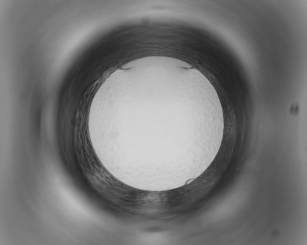 X0000111180383200908121118