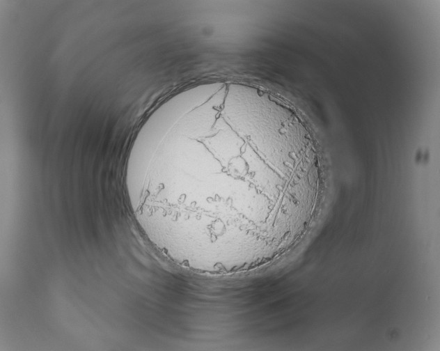 X0000111180384200908121118