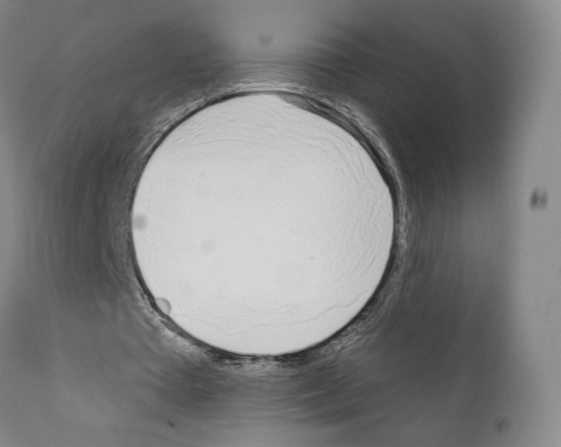 X0000111180385200908121117