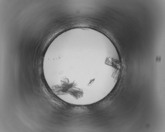 X0000111180386200908121117