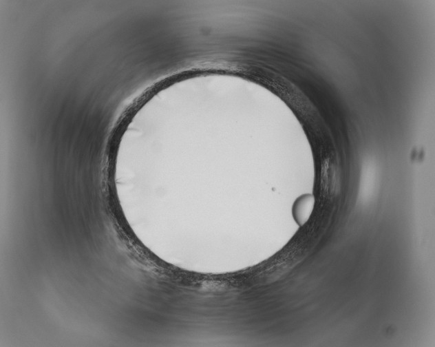 X0000111180388200908121117