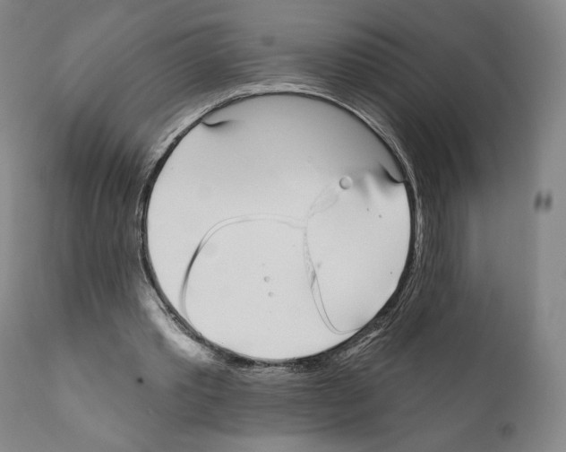 X0000111180389200908121117