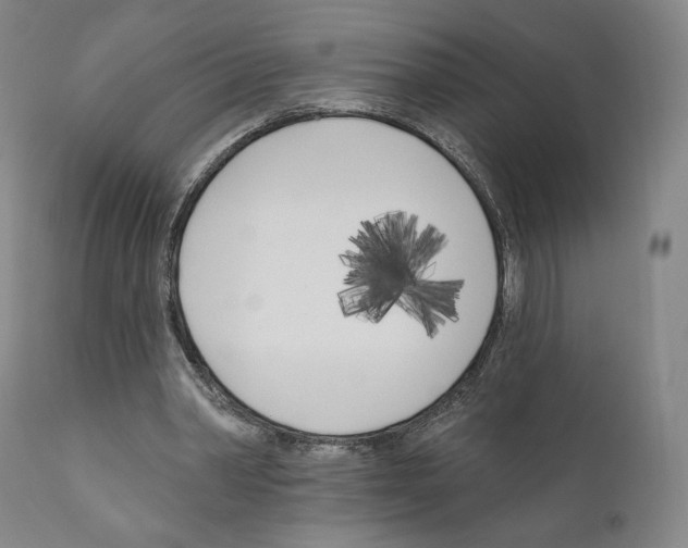 X0000111180390200908121117