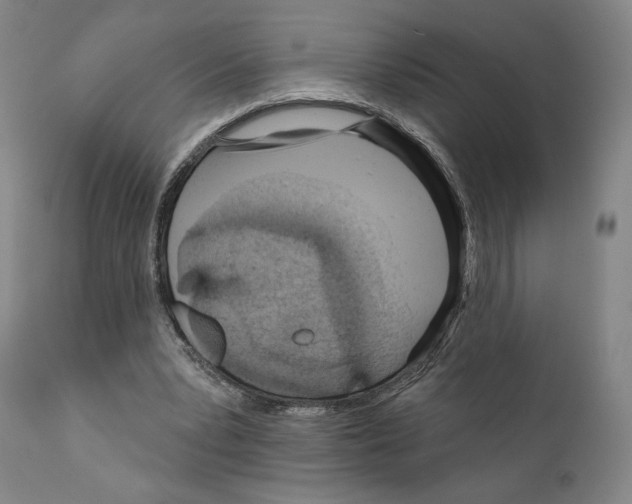 X0000111180391200908121116