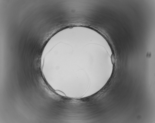 X0000111180393200908121116