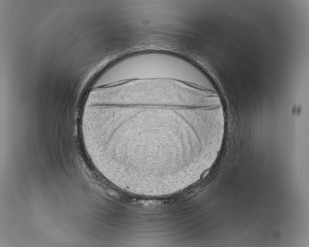 X0000111180395200908121116