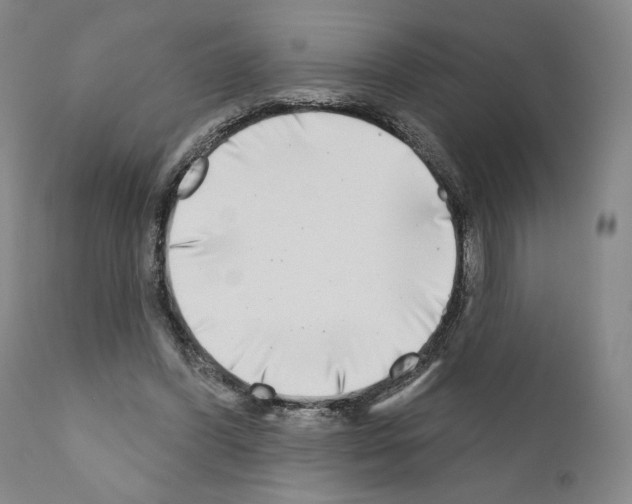 X0000111180396200908121116