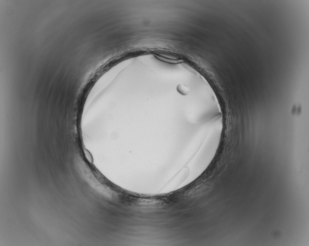 X0000111180399200908121116