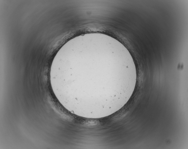 X0000111180402200908121116