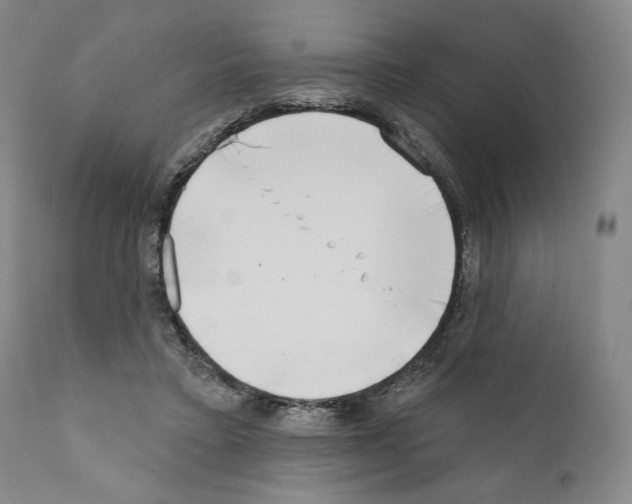 X0000111180403200908121116