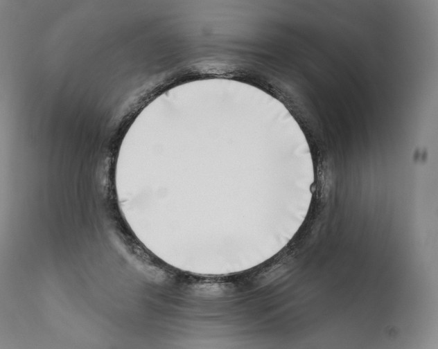 X0000111180404200908121116