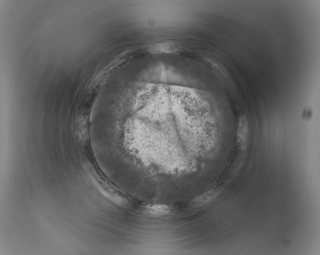 X0000111180409200908121116