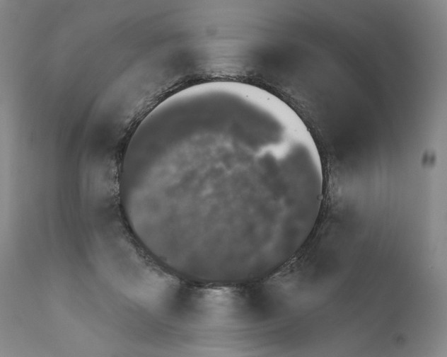 X0000111180411200908121116