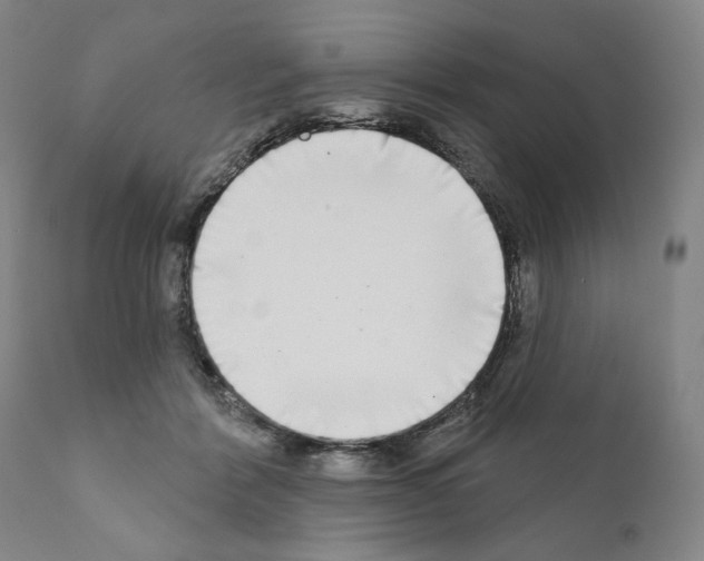 X0000111180412200908121116