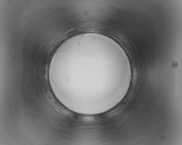 X0000111180413200908121116