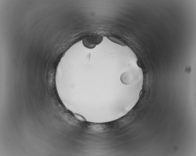 X0000111180417200908121116