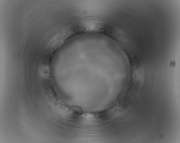 X0000111180419200908121116