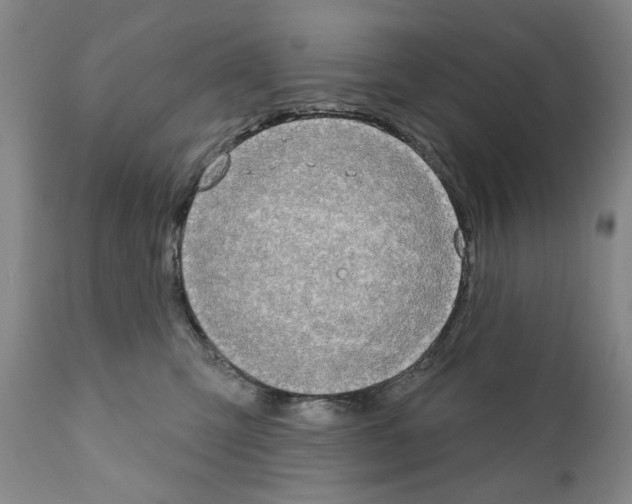 X0000111180423200908121116