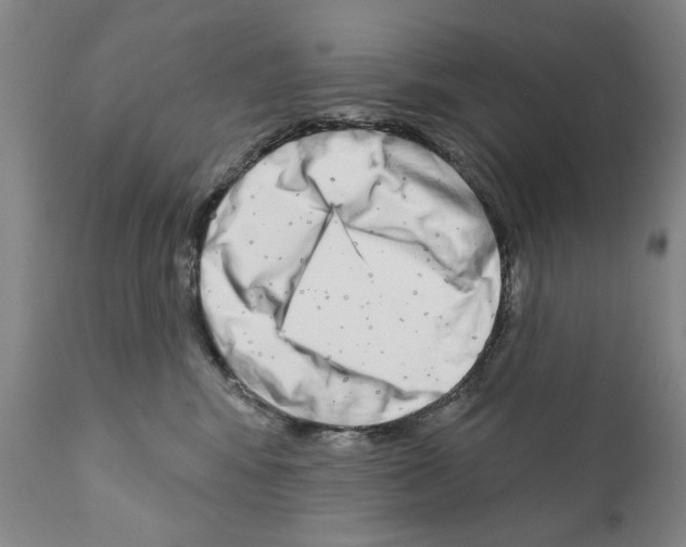 X0000111180424200908121116