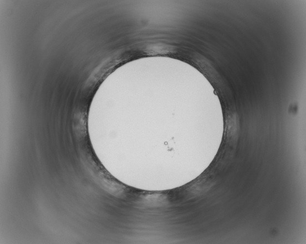 X0000111180426200908121116