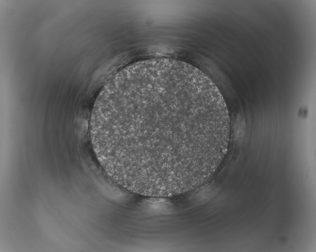 X0000111180427200908121116