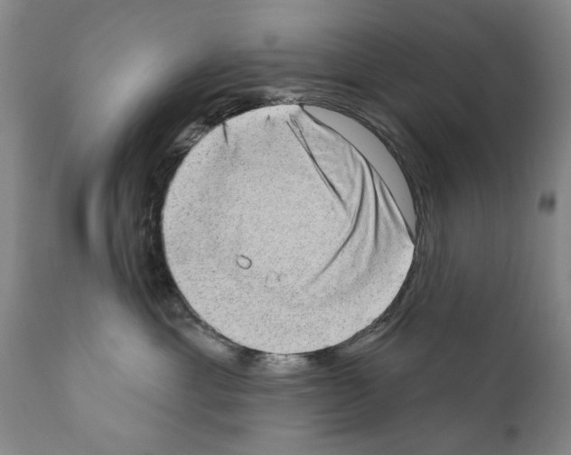 X0000111180429200908121116