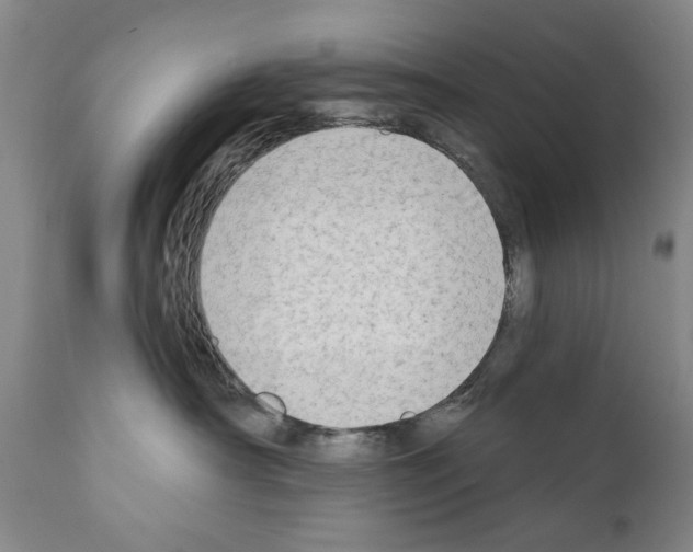 X0000111180430200908121116