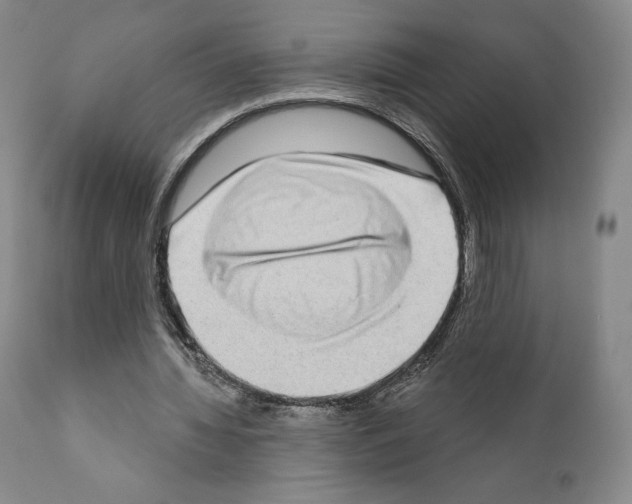 X0000111180436200908121115