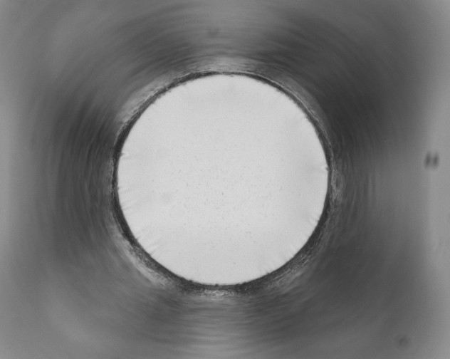 X0000111180437200908121115