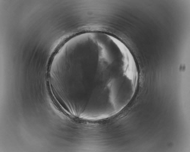 X0000111180438200908121115