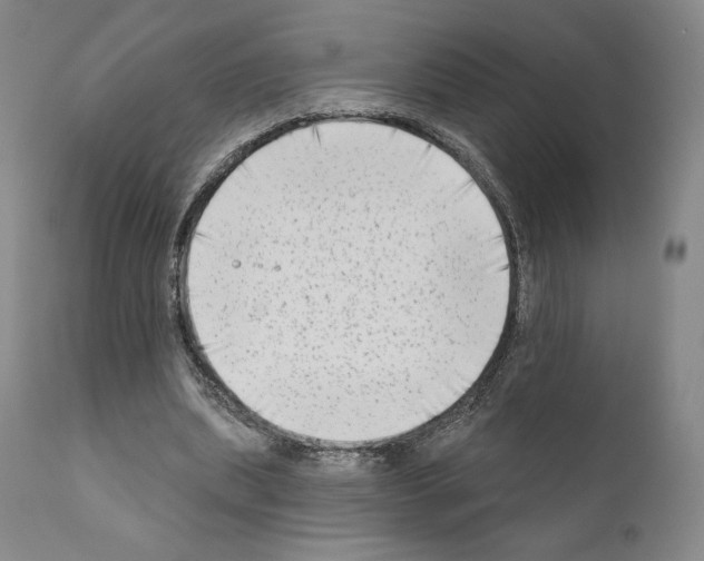 X0000111180439200908121115