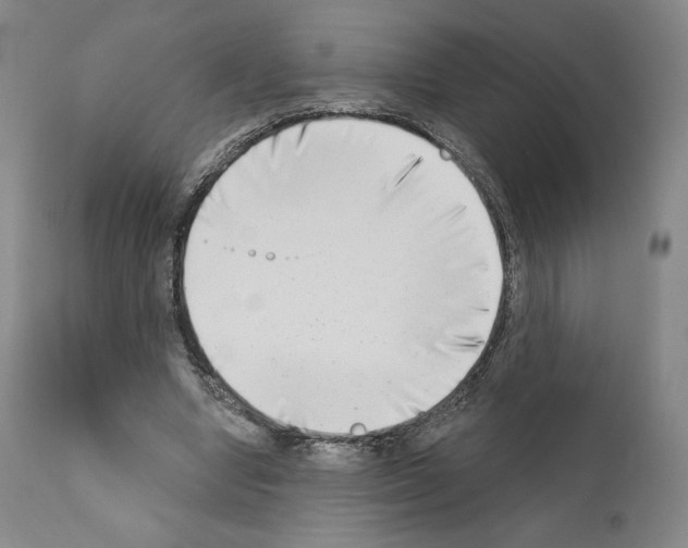 X0000111180442200908121115