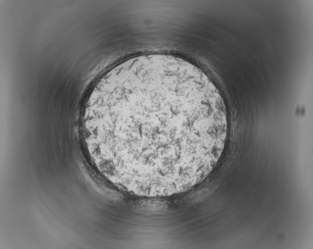 X0000111180443200908121115