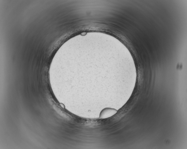 X0000111180445200908121115