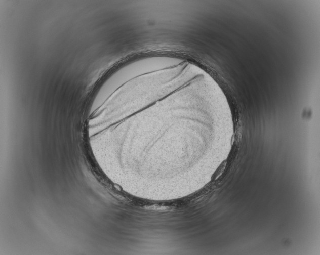 X0000111180448200908121115