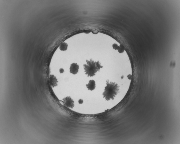 X0000111180449200908121115