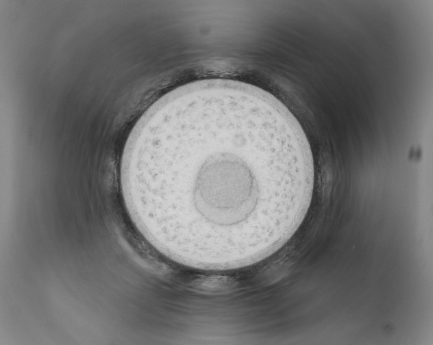 X0000111180459200908121115