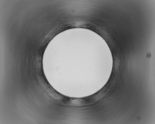 X0000111180461200908121115