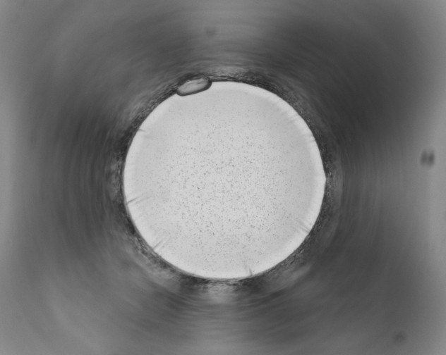 X0000111180462200908121115