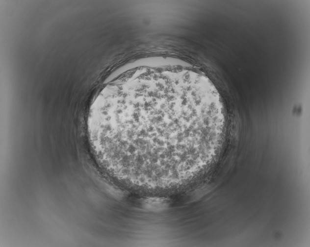 X0000111180465200908121116