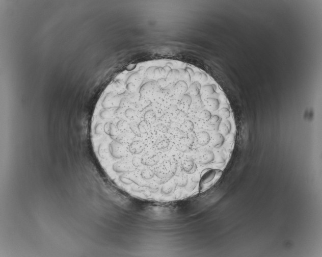 X0000111180466200908121116