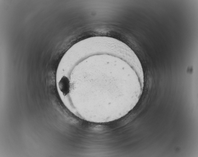 X0000111180467200908121116