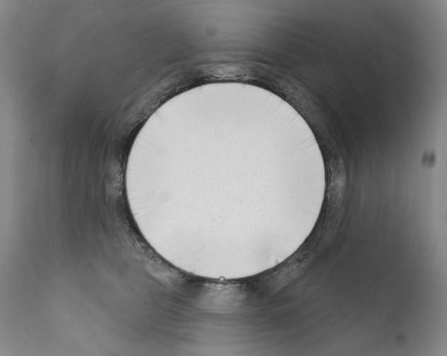 X0000111180469200908121116