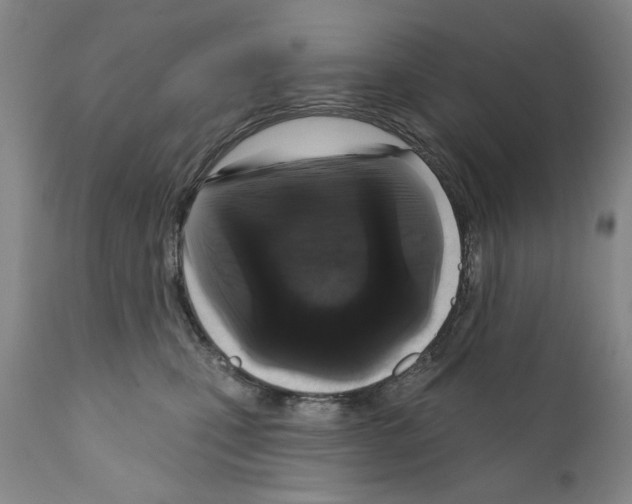 X0000111180471200908121116