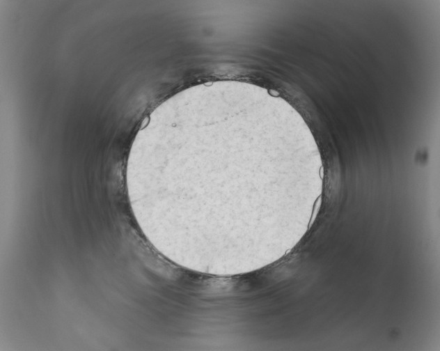 X0000111180473200908121116