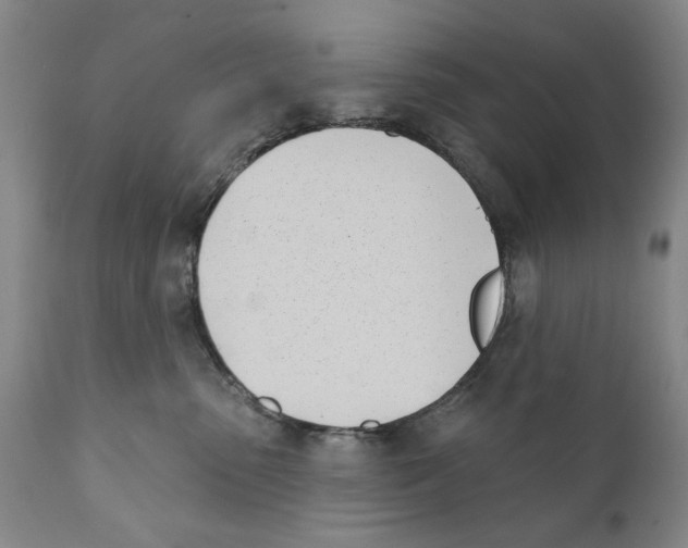 X0000111180475200908121116