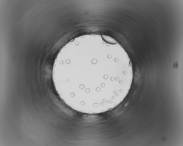 X0000111180476200908121116