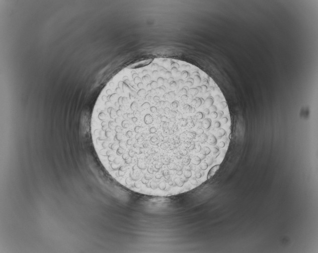 X0000111180478200908121116