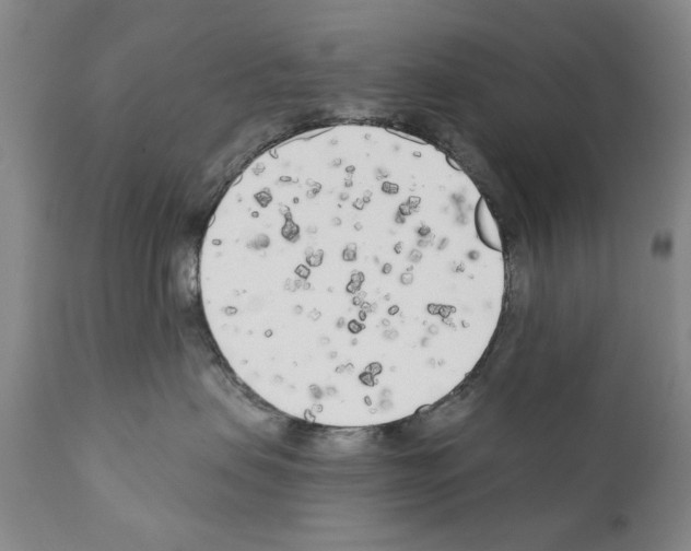 X0000111180479200908121116