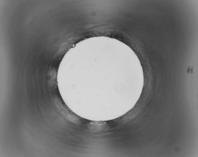 X0000111180480200908121116